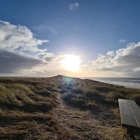 Tatil Evi 6 Person In Hvide Sande-by Traum